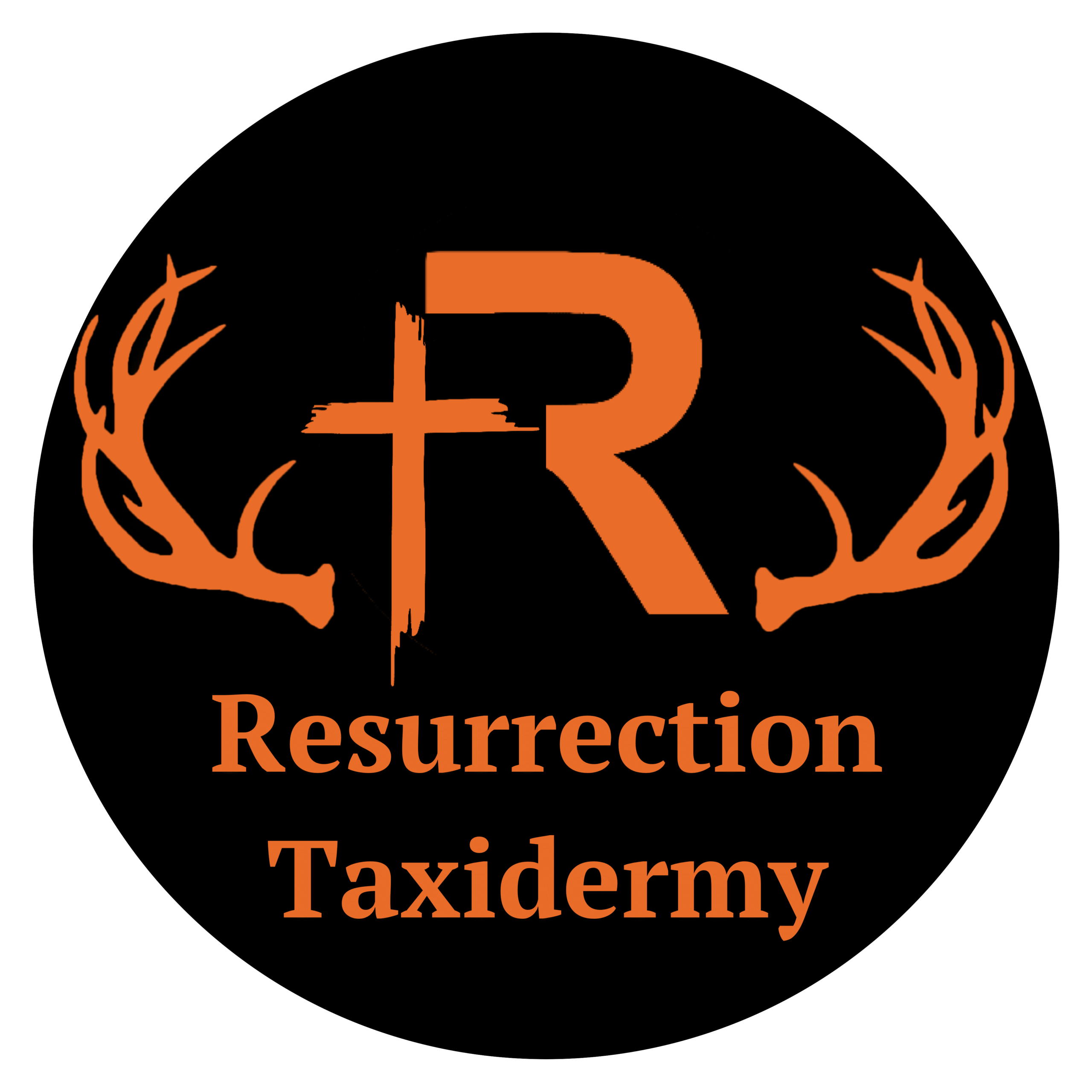 Resurrection Taxidermy TN