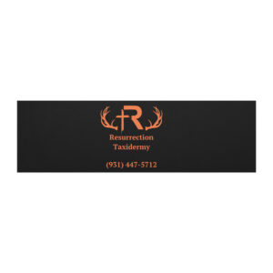 Resurrection Taxidermy Car Magnets